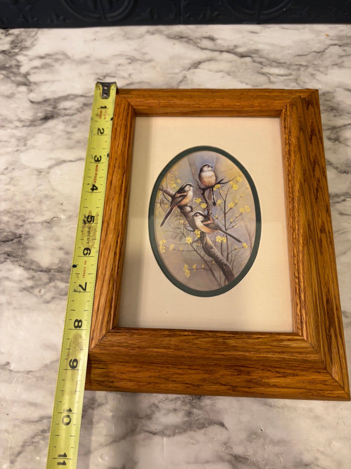 3 birds on a Branch in Wood Frame