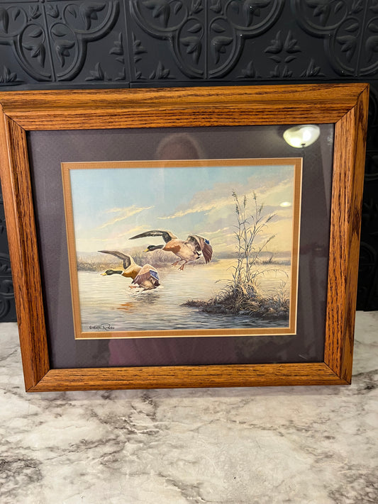 Duck Landing Framed Print