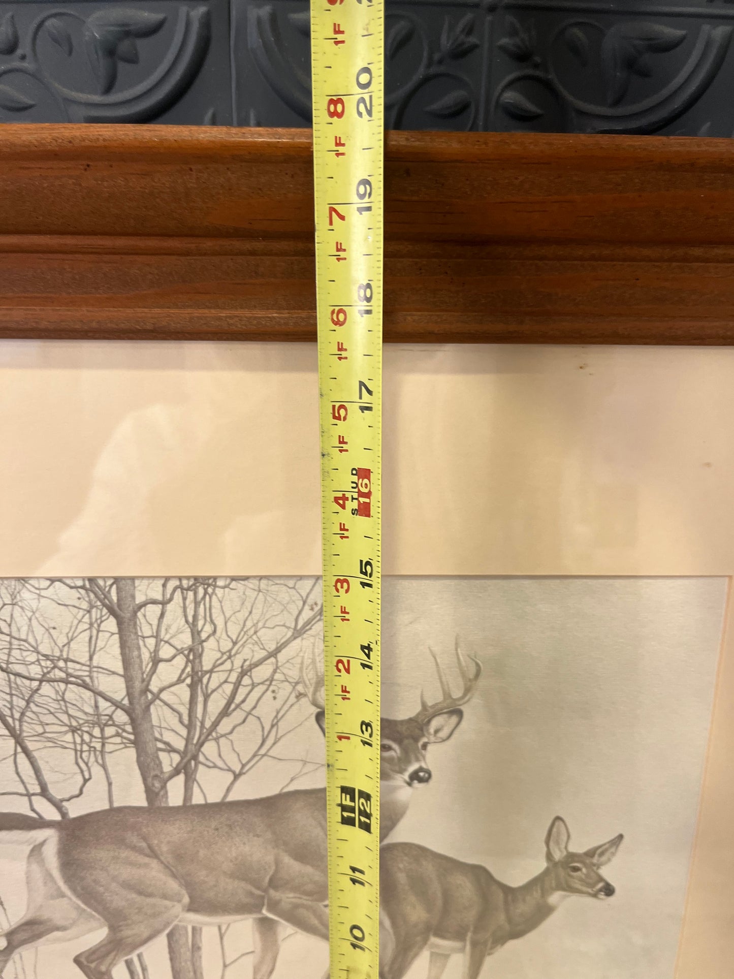 Vintage Print of Whitetail Deer by MG Loates