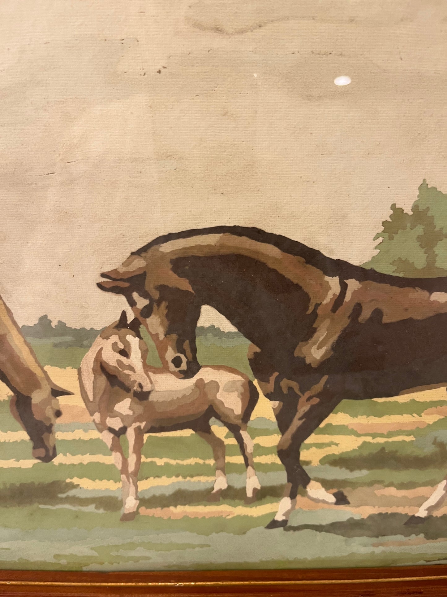 Framed Vintage Paint by Numbers of Horses