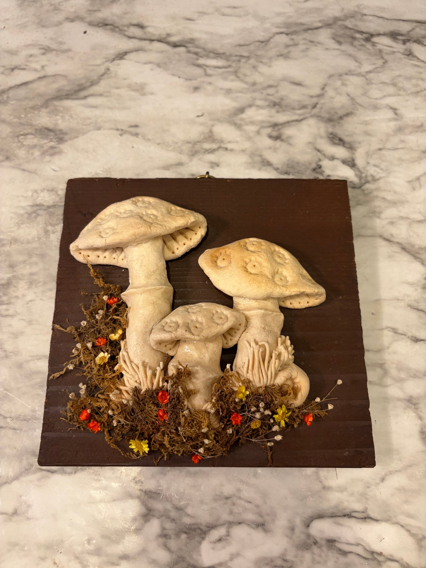 Handmade Mushrooms on Wood Large