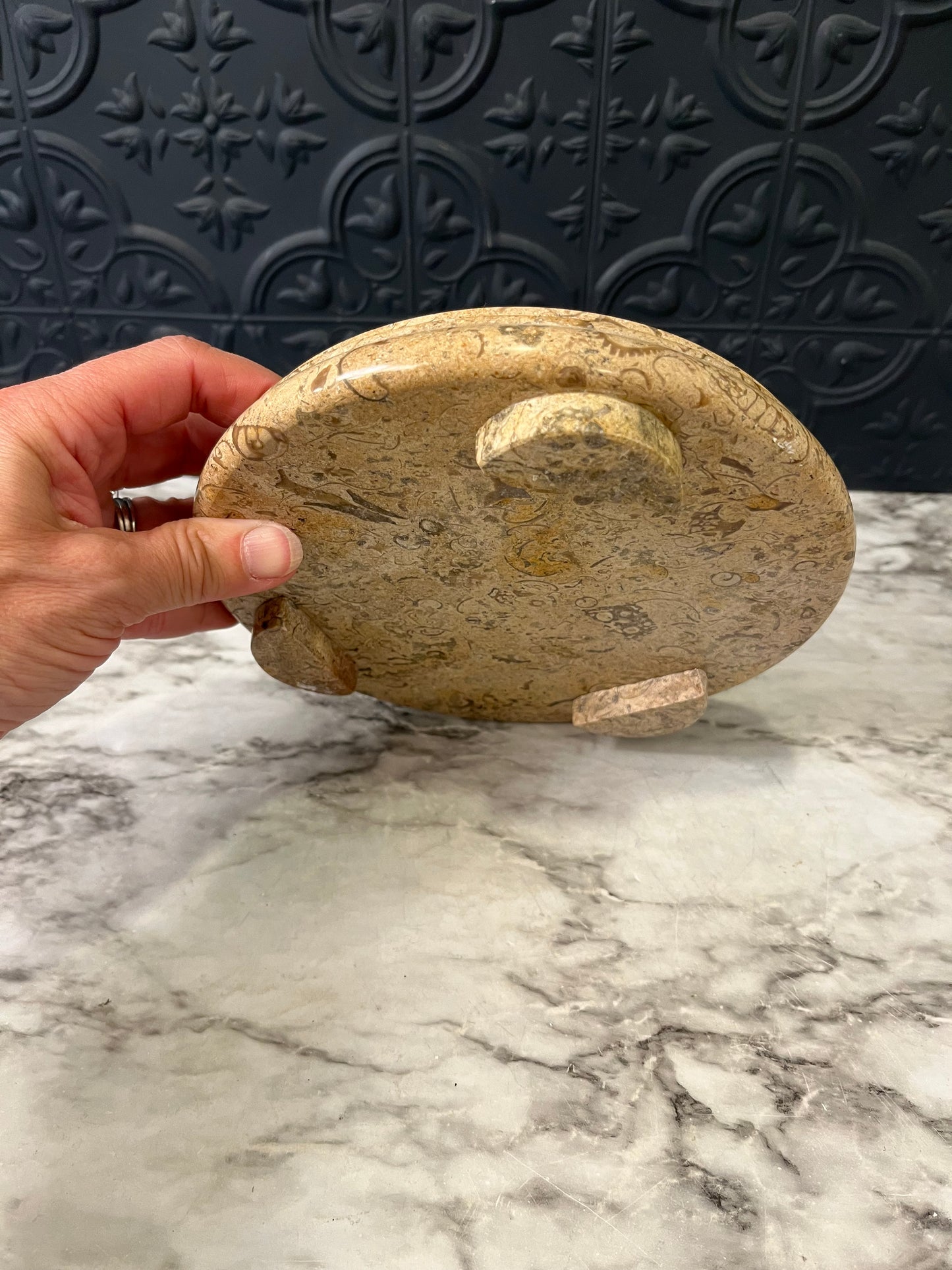 Fossilized Stone Footed Plant Stand