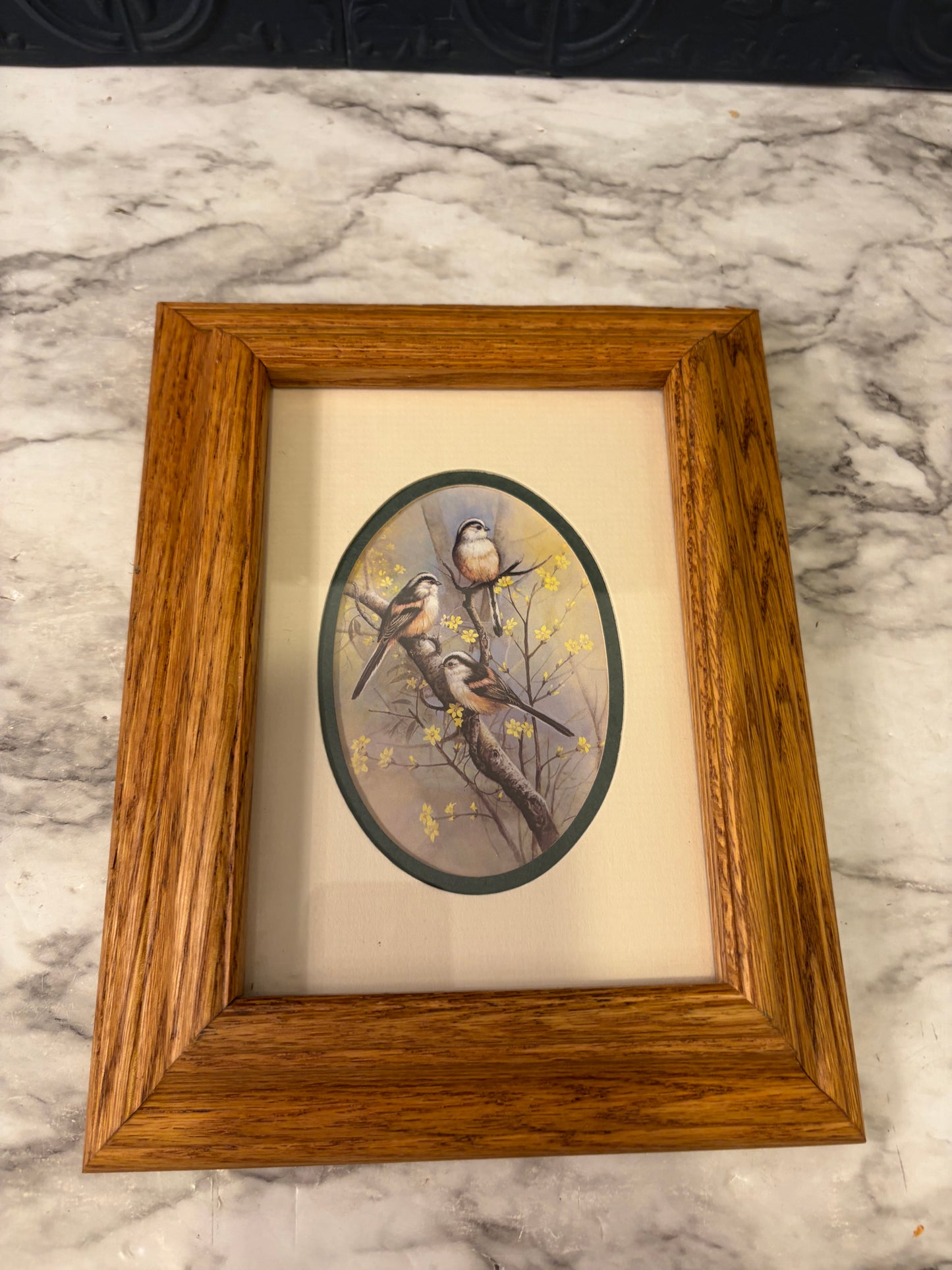 3 birds on a Branch in Wood Frame