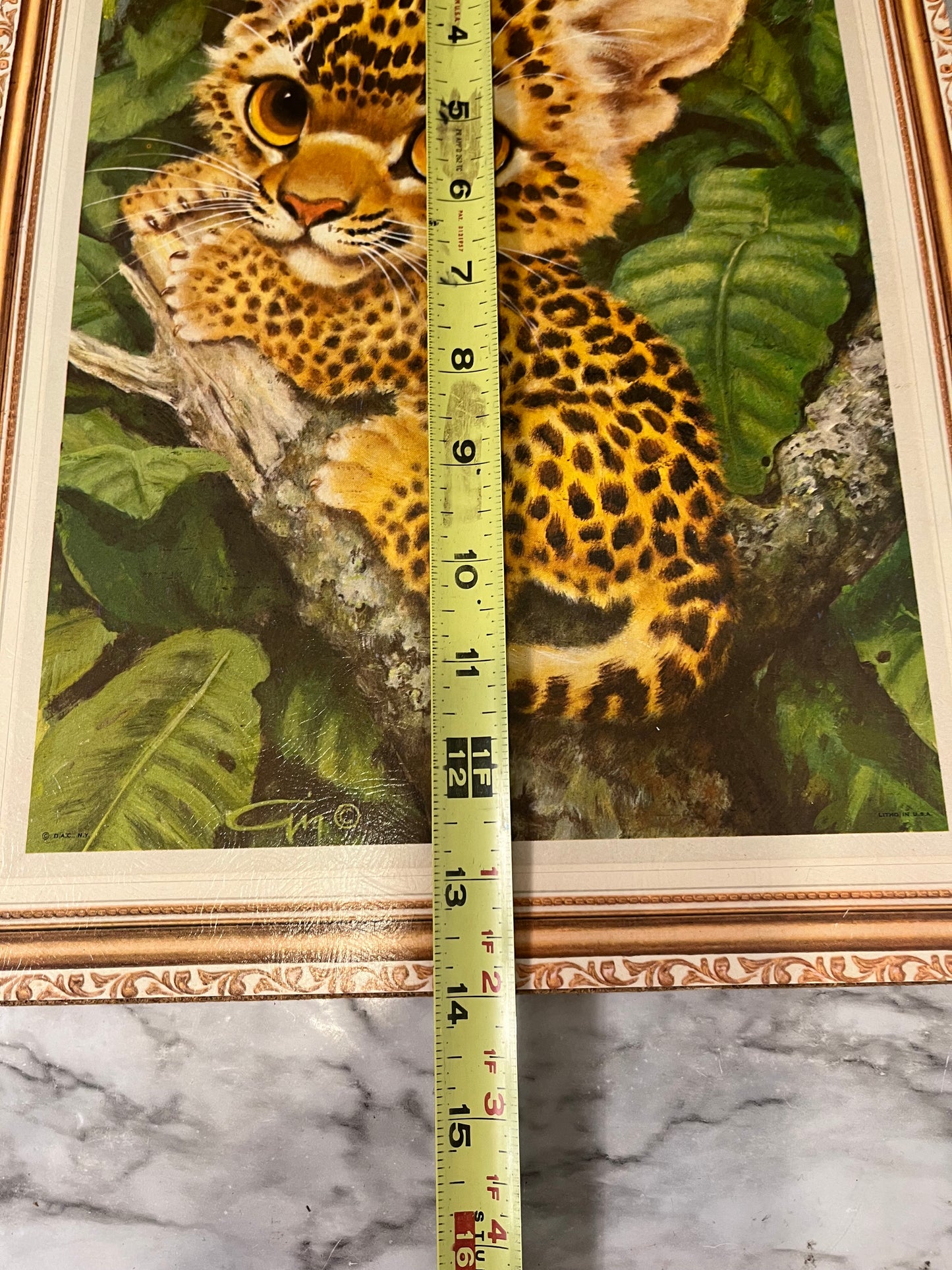 Vintage Big Eye Leopard Print on board