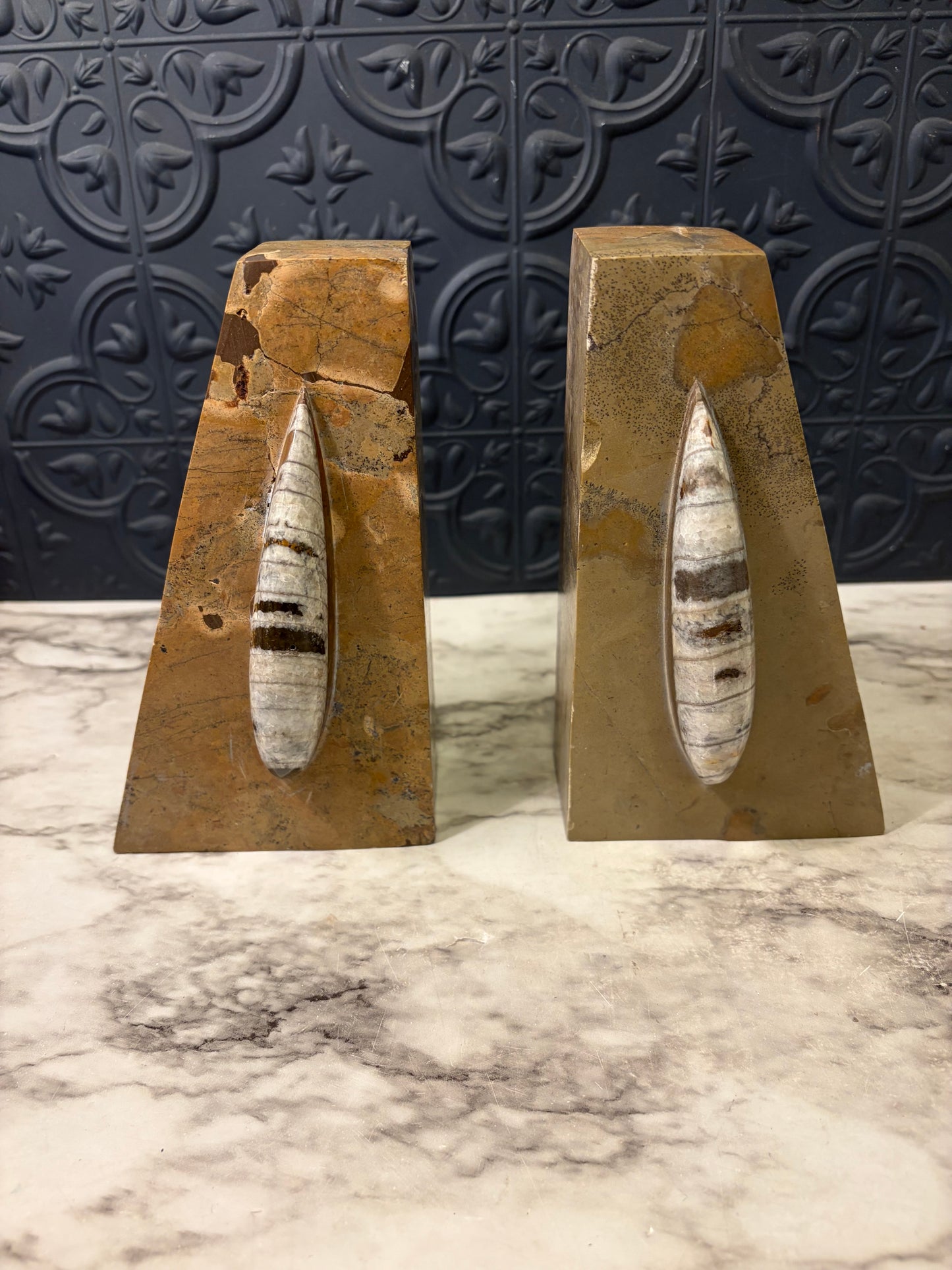 Orthoceras Fossil Bookends