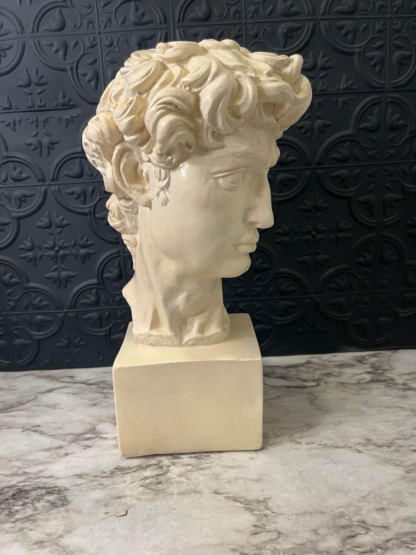 Plaster Bust of David