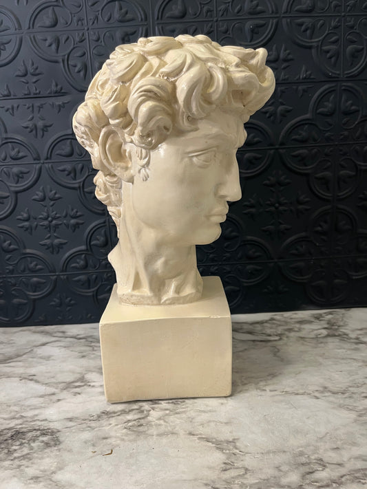 Plaster Bust of David