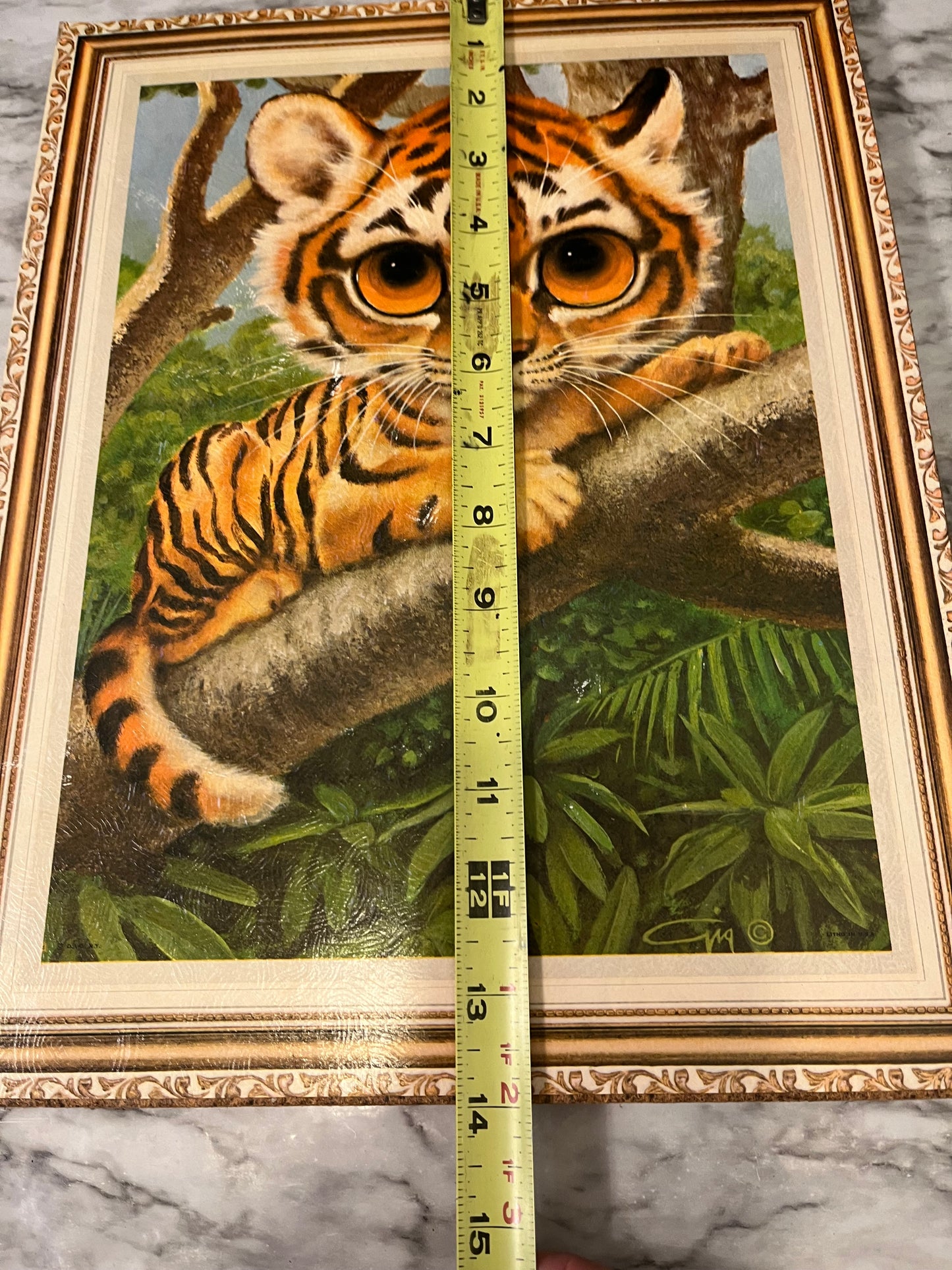 Vintage Big Eye Tiger Print on board