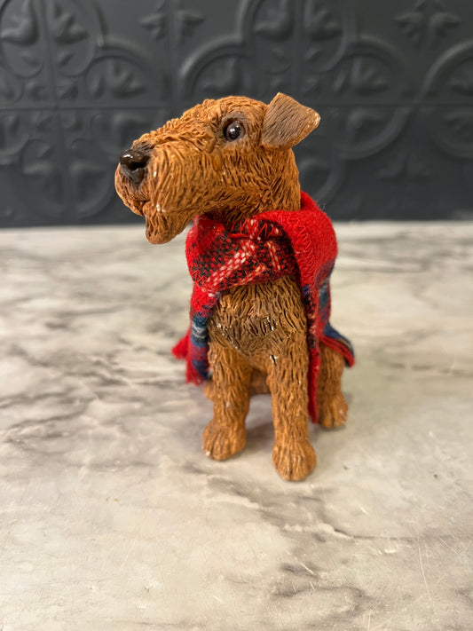 Small Terrier Dog