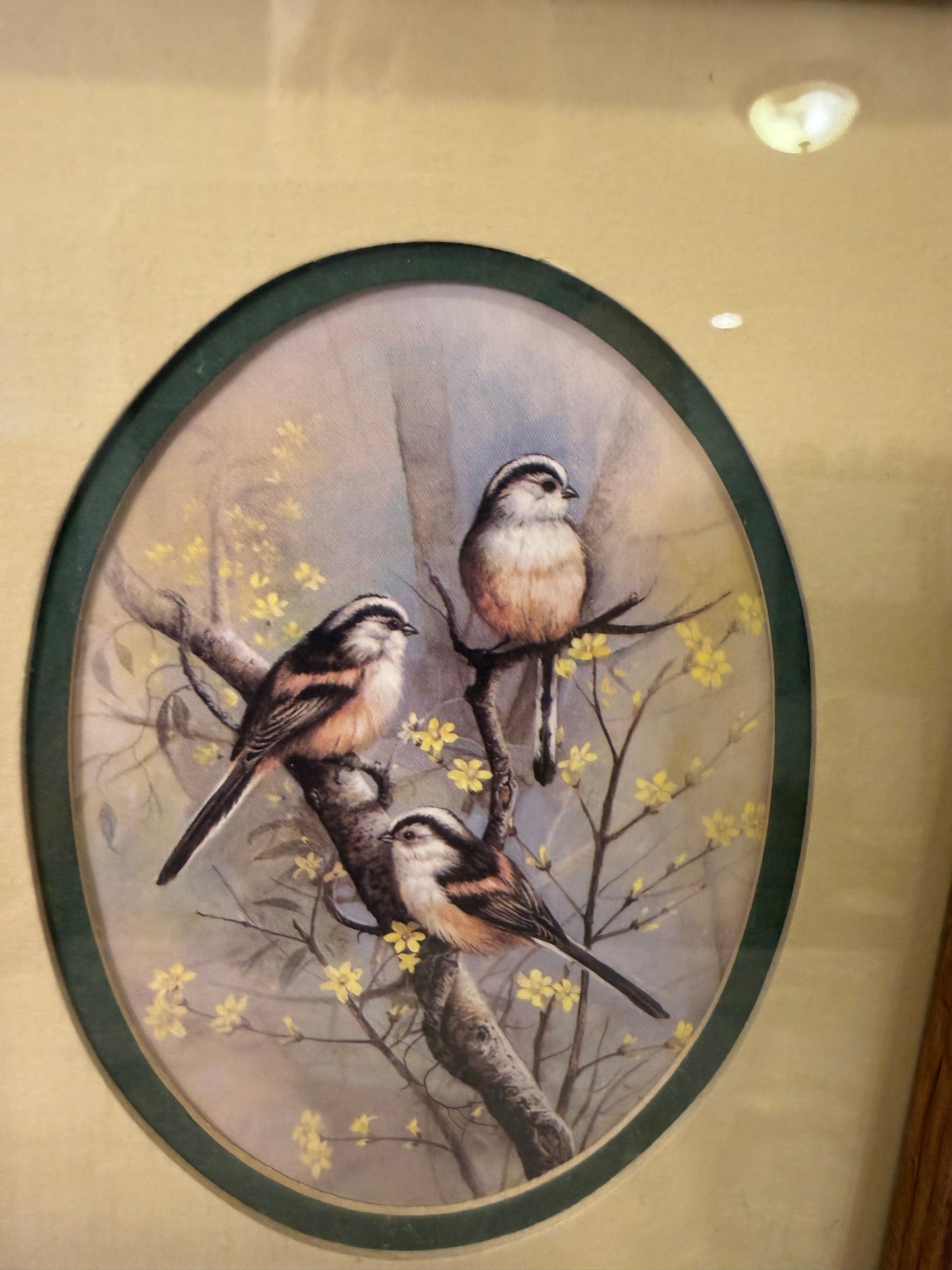 Ruane Manning Bird on Branch Print Framed