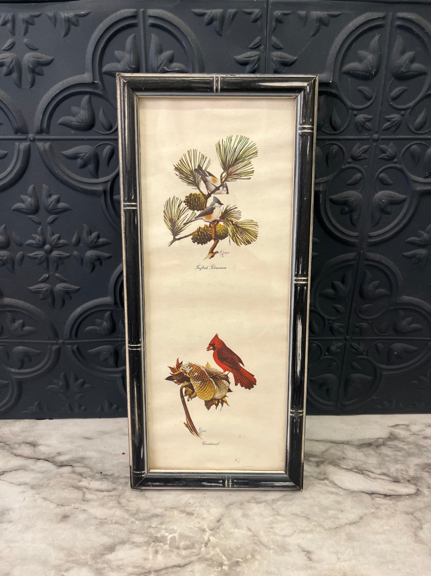 10 x 4 Print of cardinals in Black frame