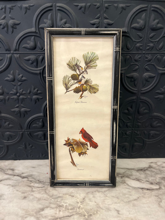 10 x 4 Print of cardinals in Black frame