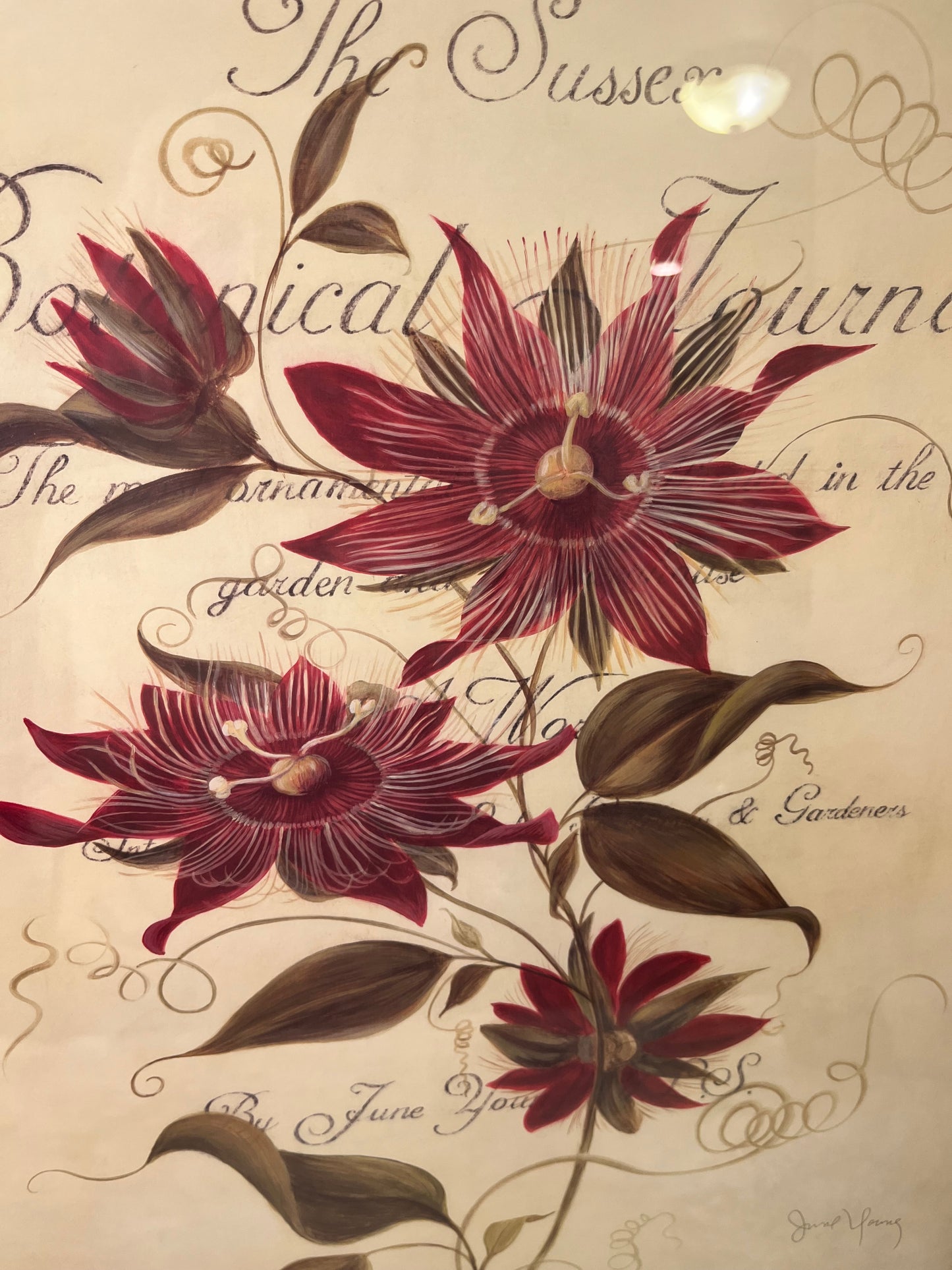 Botanical Passions by Home Interiors