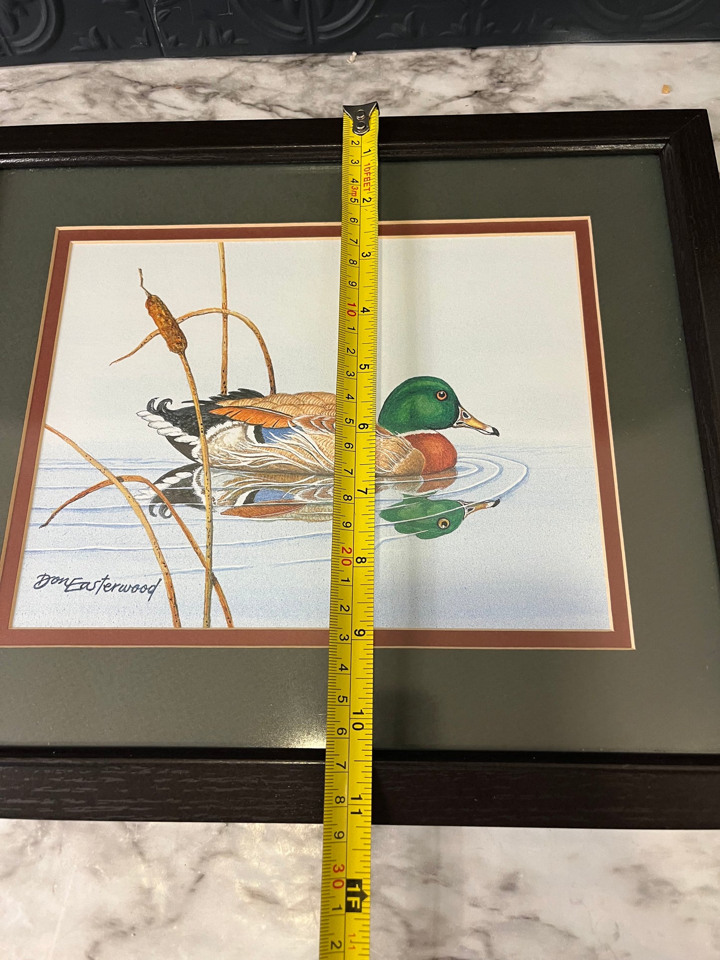 Home Interiors Don Easterwood Mallard Reflection Print