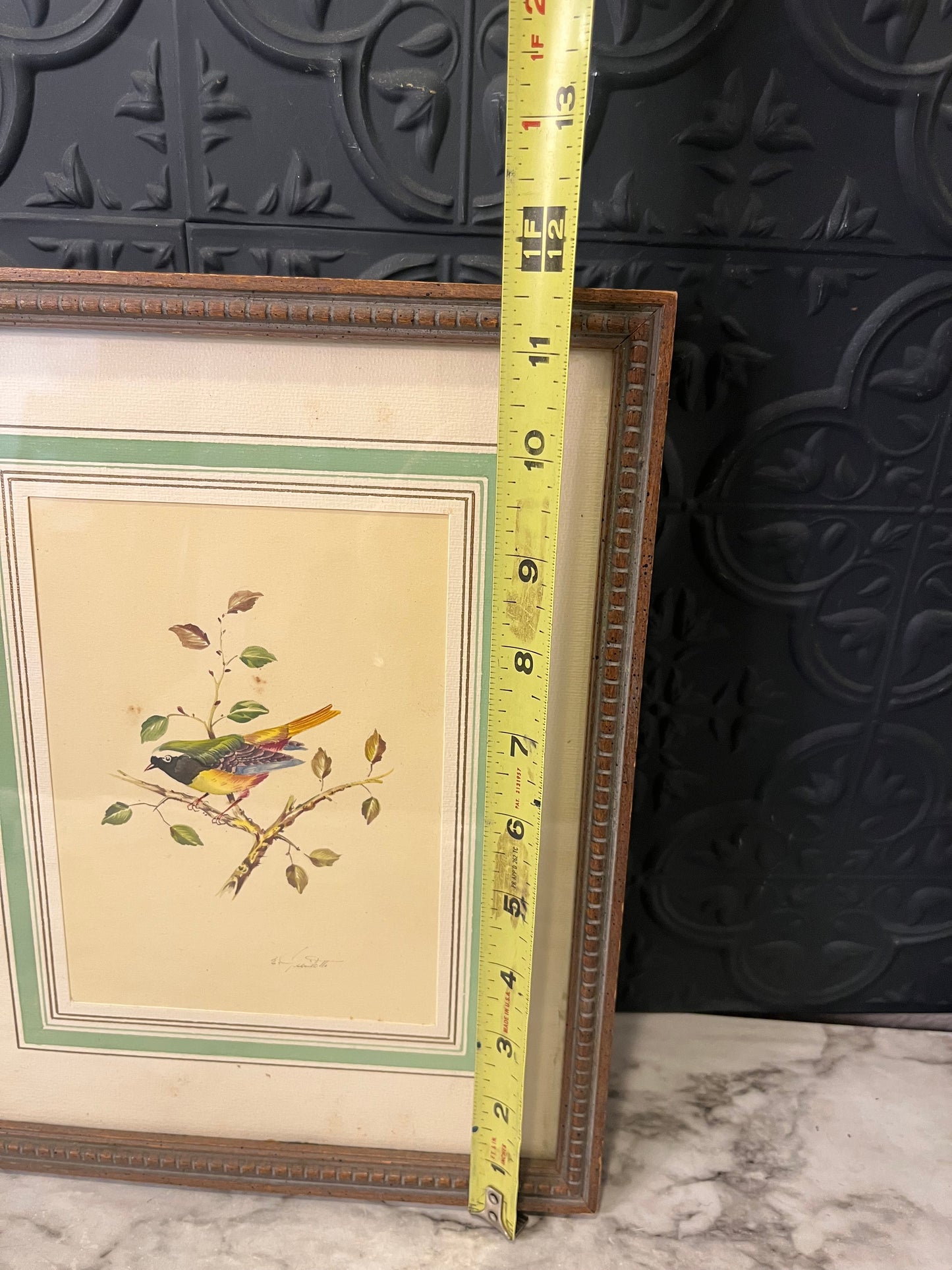Vintage Print Bird Framed green,yellow,blue
