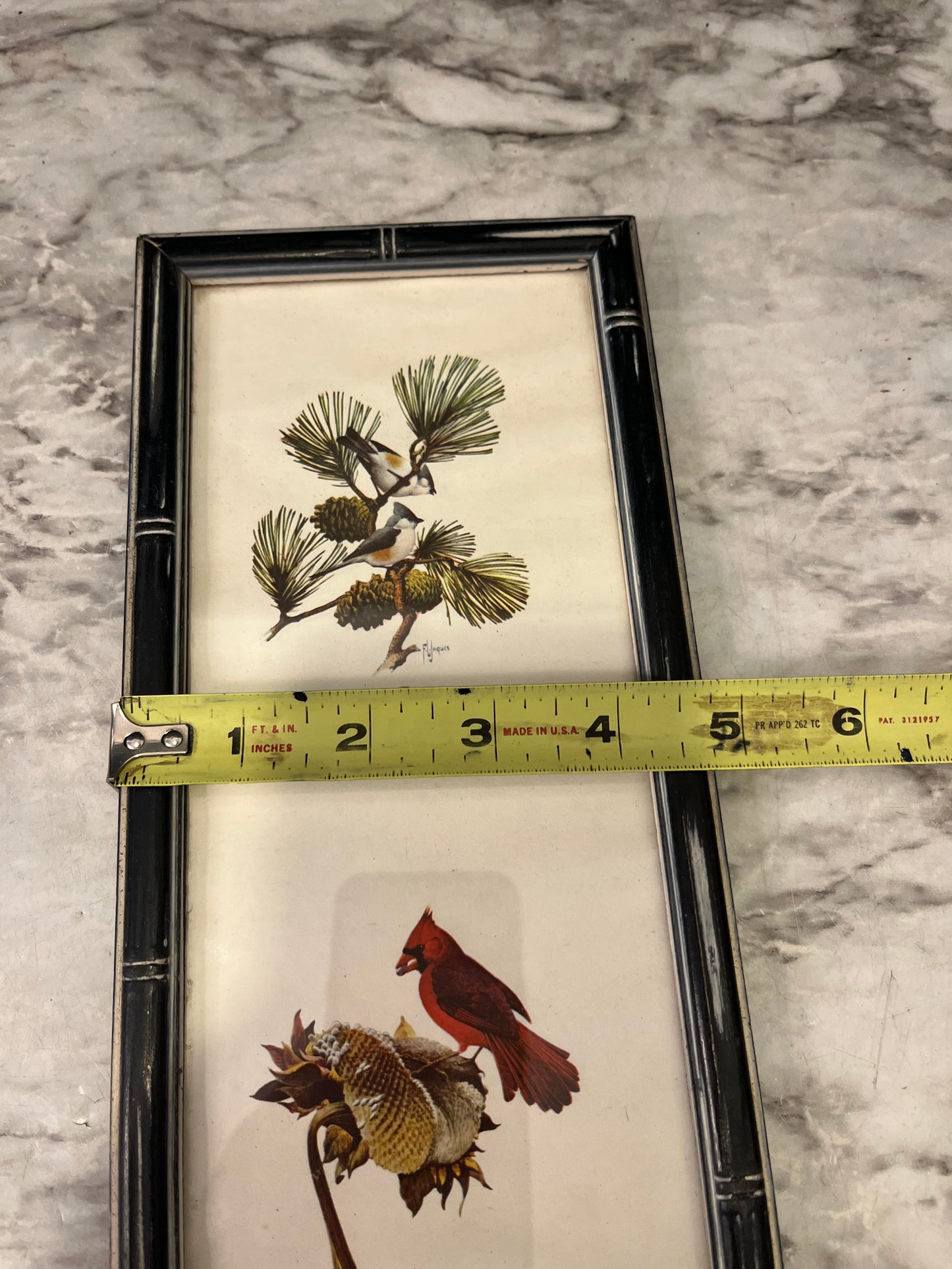 10 x 4 Print of cardinals in Black frame