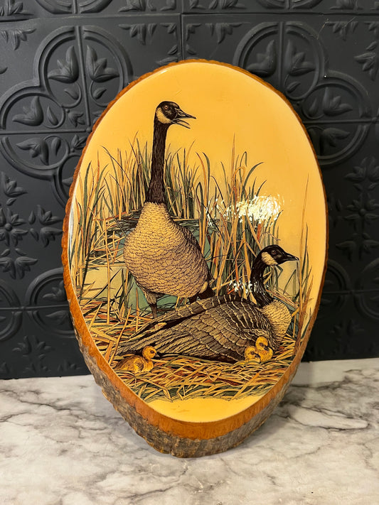Laminated Duck On Live Edge
