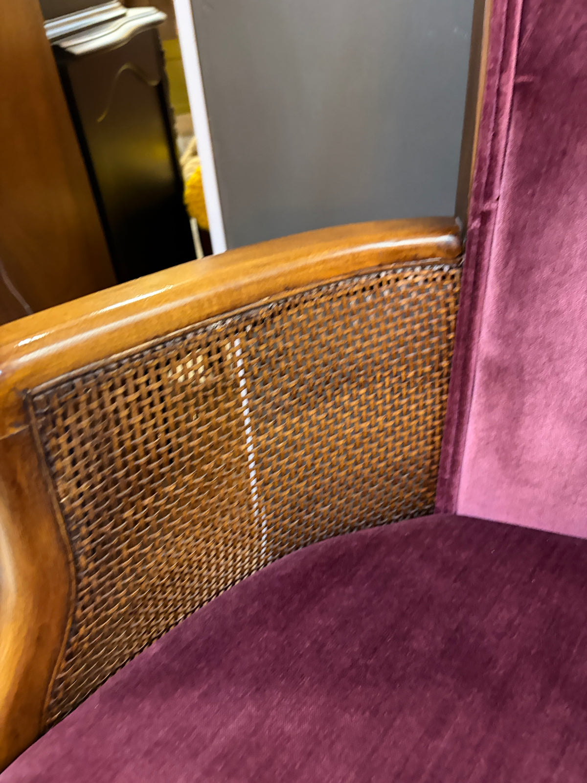 Purple Velvet Chair with Cane