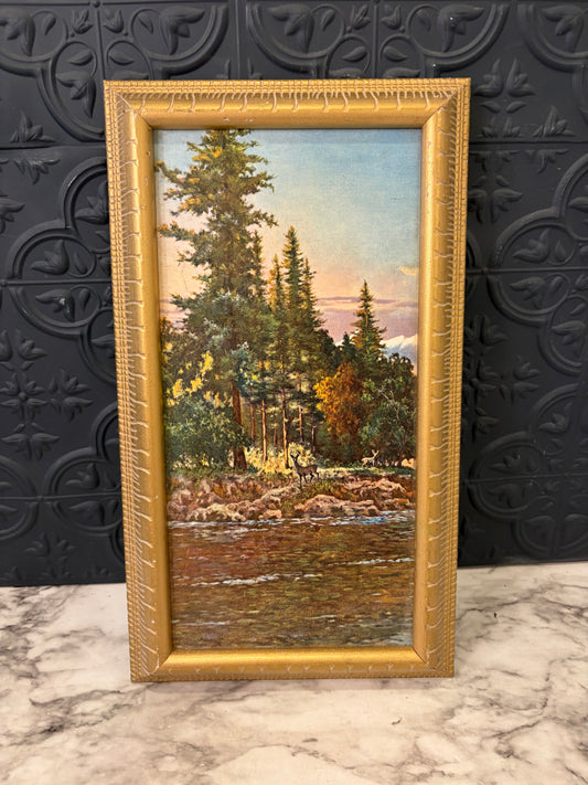 Deer by River Print on Board