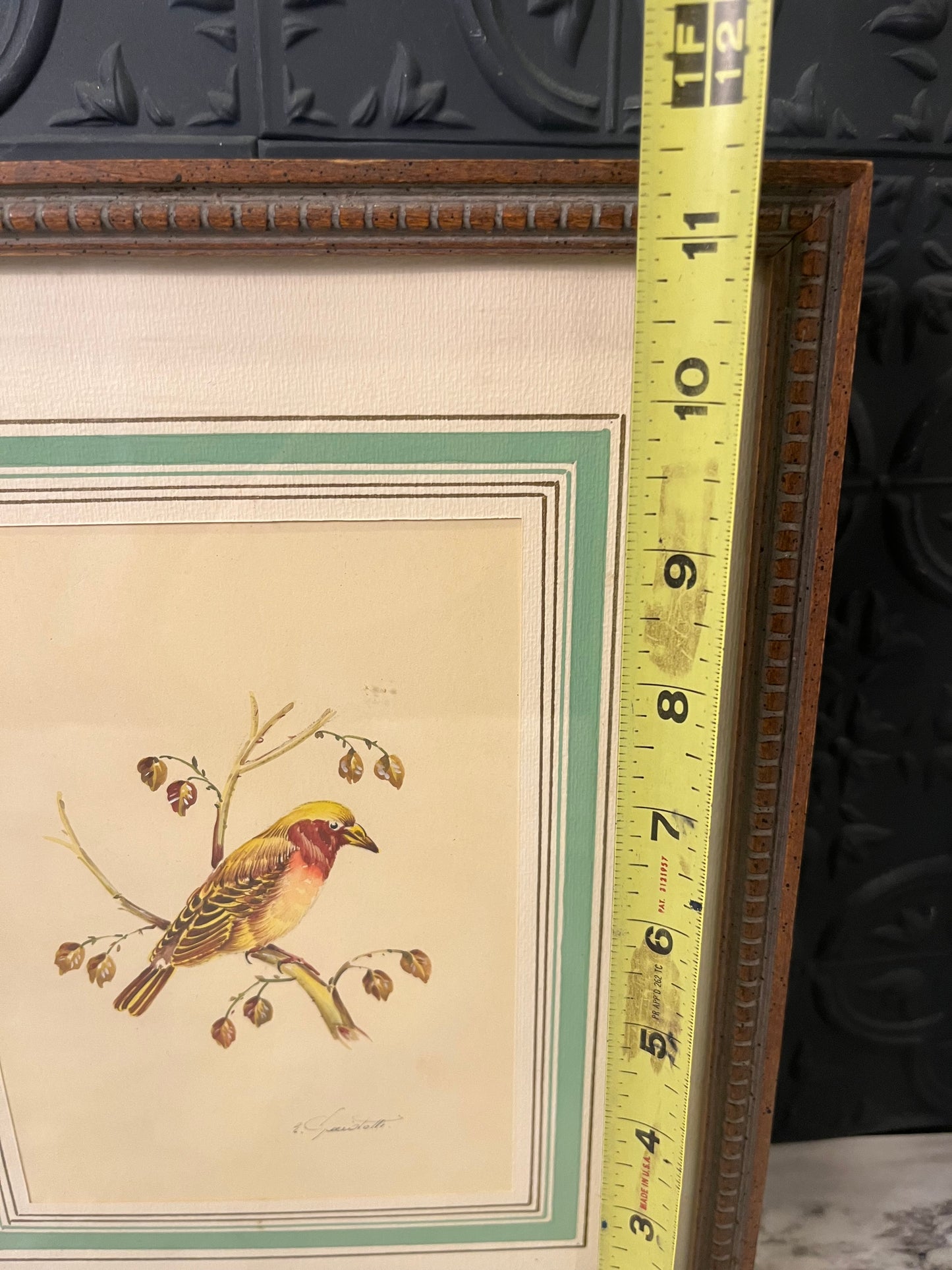 Vintage Print Bird Framed Yellow