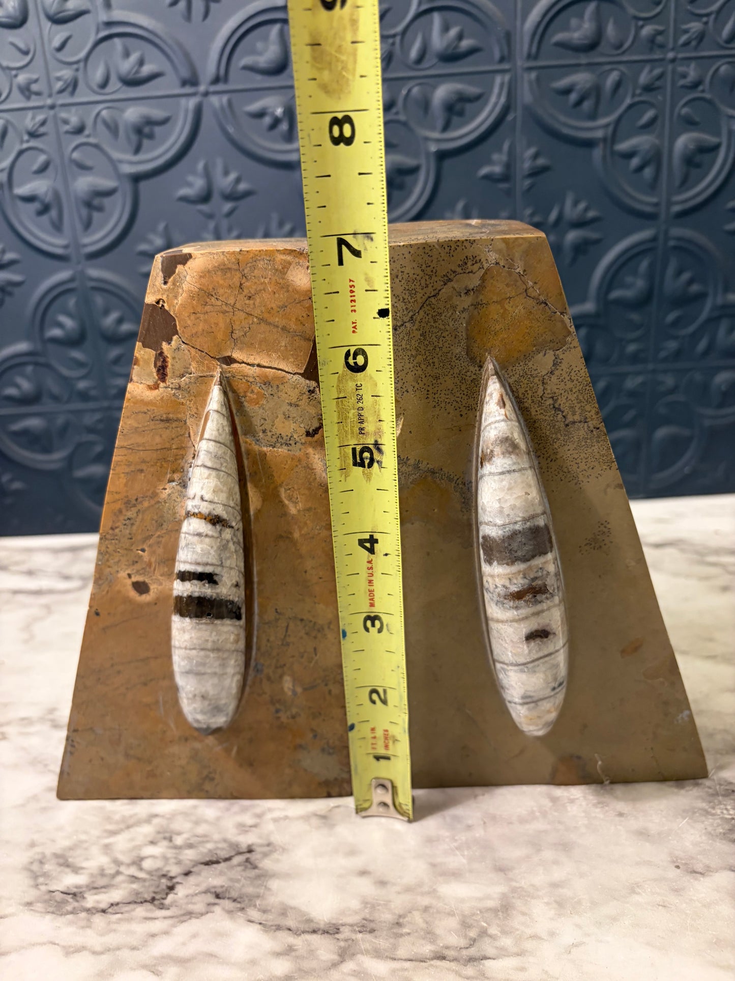 Orthoceras Fossil Bookends