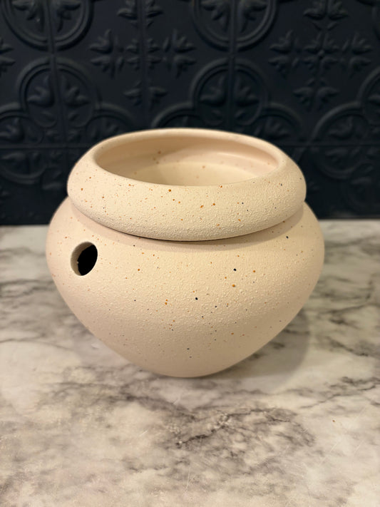 The Violet Pot Selt Watering