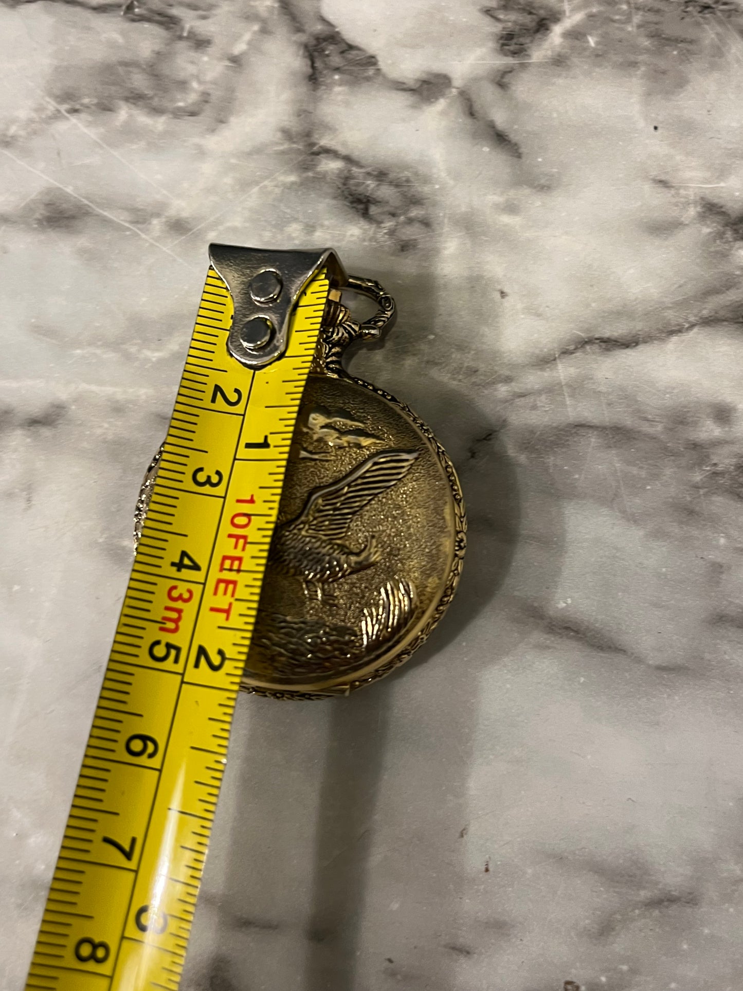 Pocket watch shell