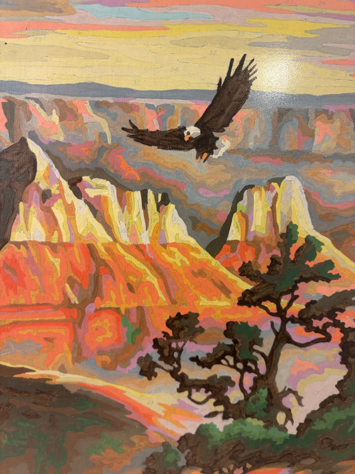 Paint by Numbers of Grand Canyon
