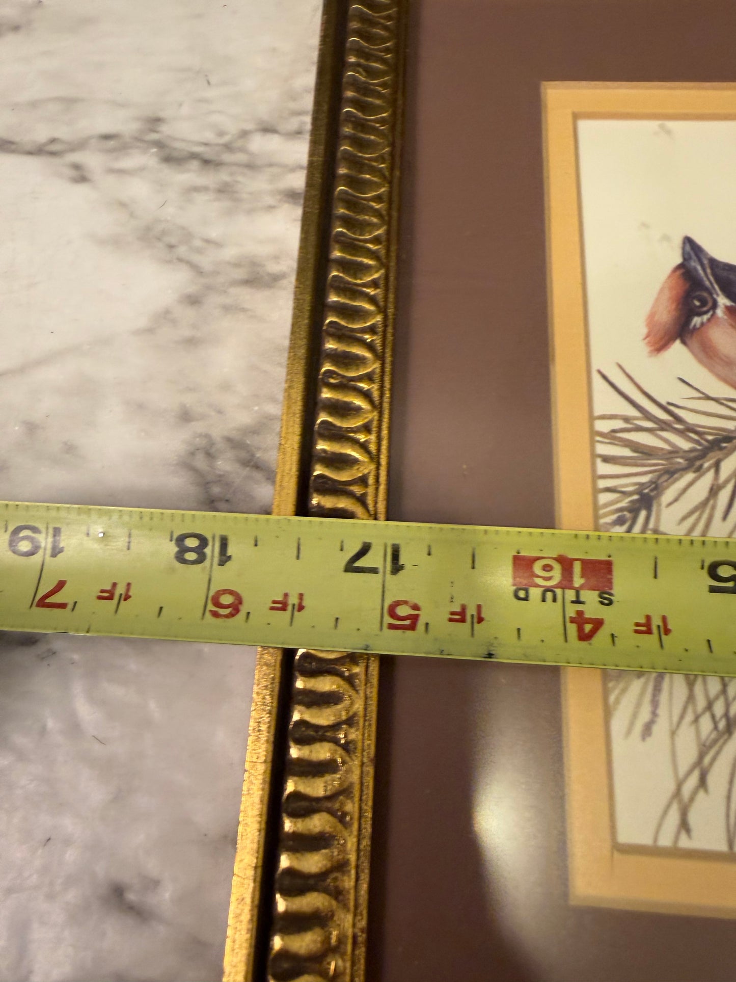 Triple Bird Print Framed