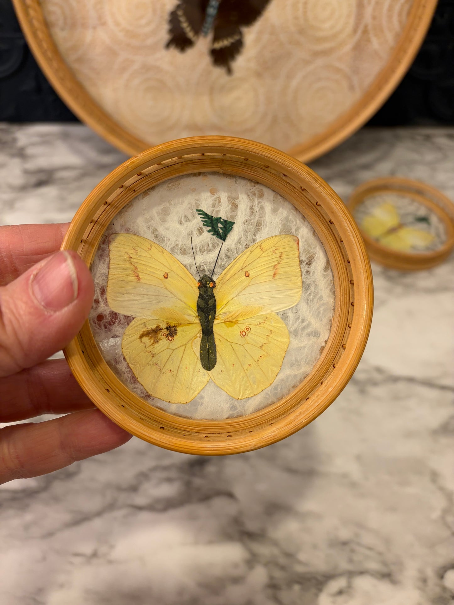Press Butterfly Bamboo Tray and Coasters