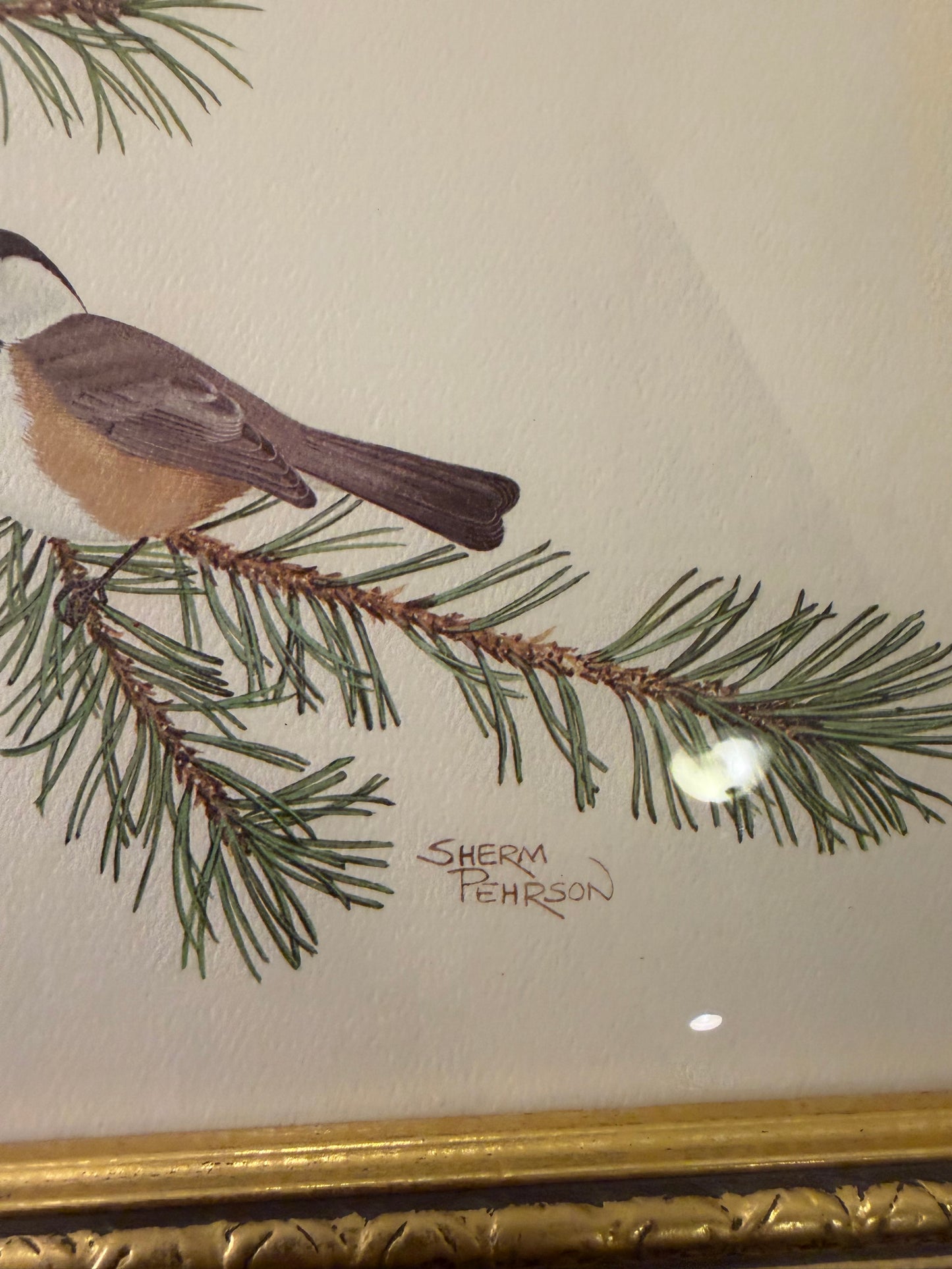 Sherm Pehrson Bird Print Framed