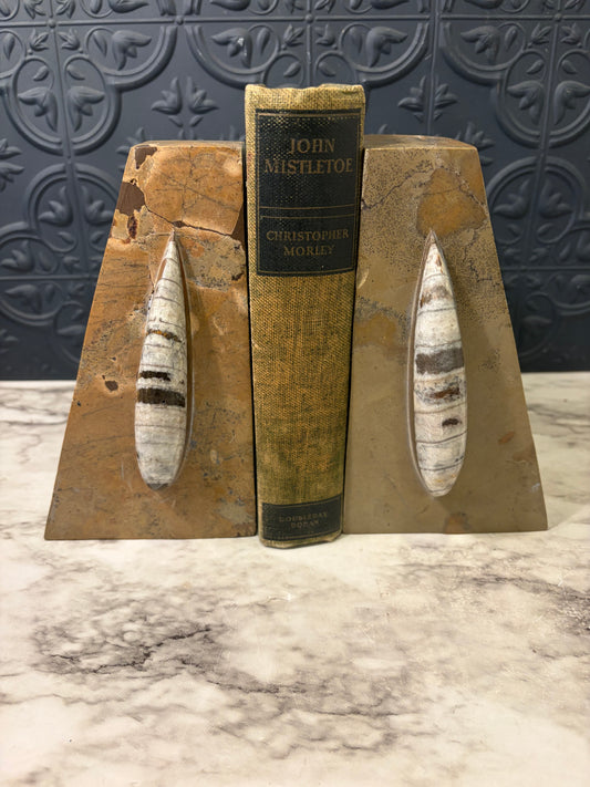 Orthoceras Fossil Bookends