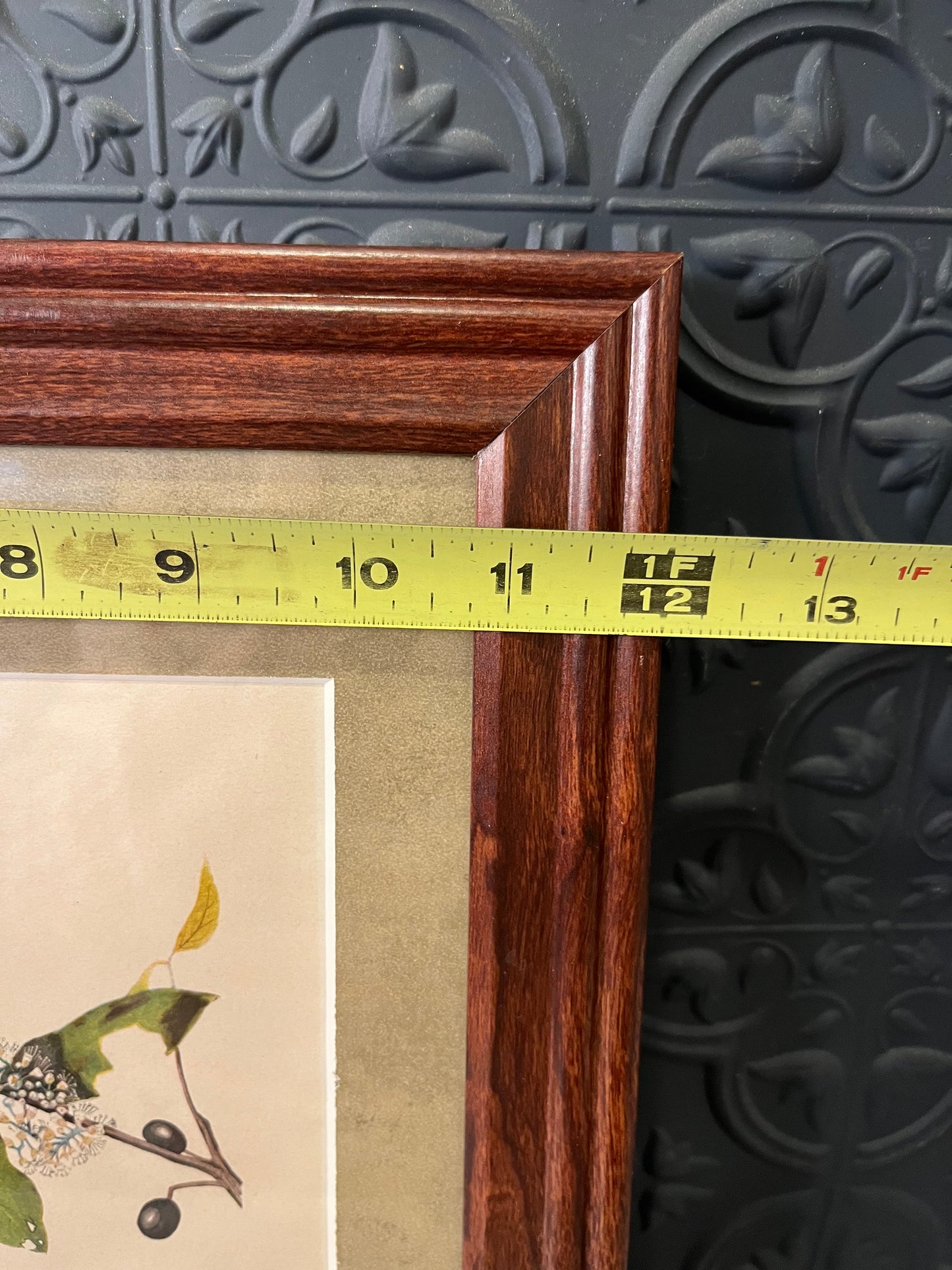 Cardinal Grosbeak Print in Cherry Frame