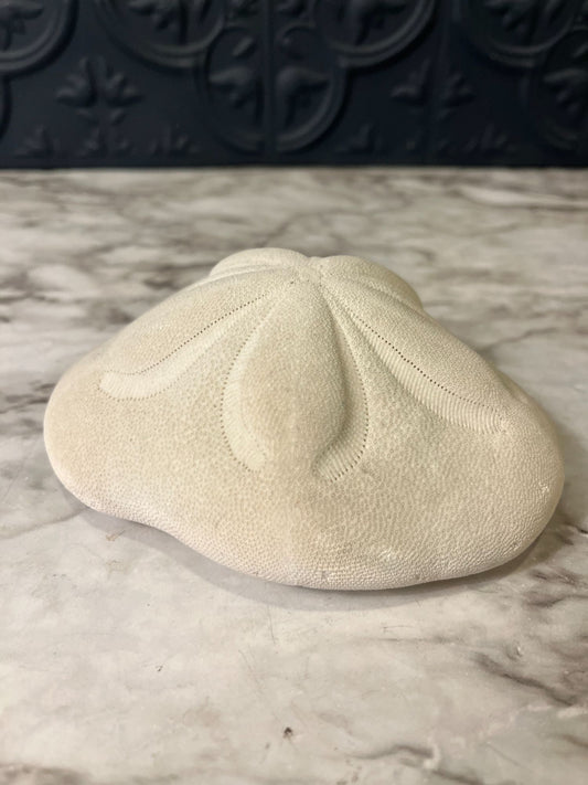 Sand Dollar