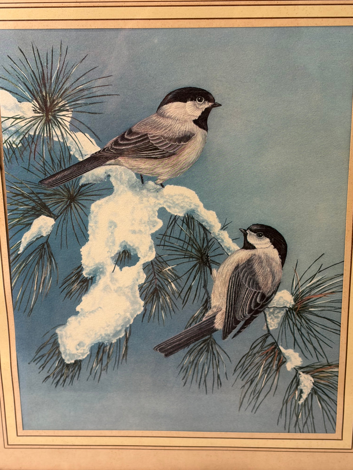 Snow on the Pines by Ron Parker Framed