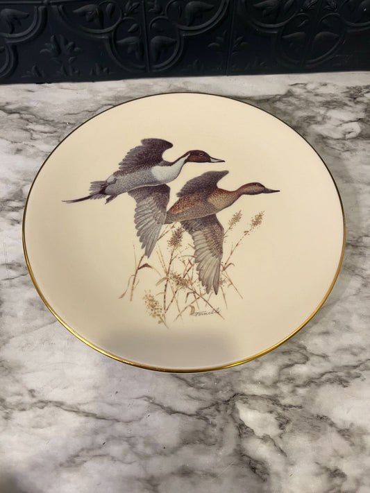 Pintail Ducks Over Sorghum On Plate