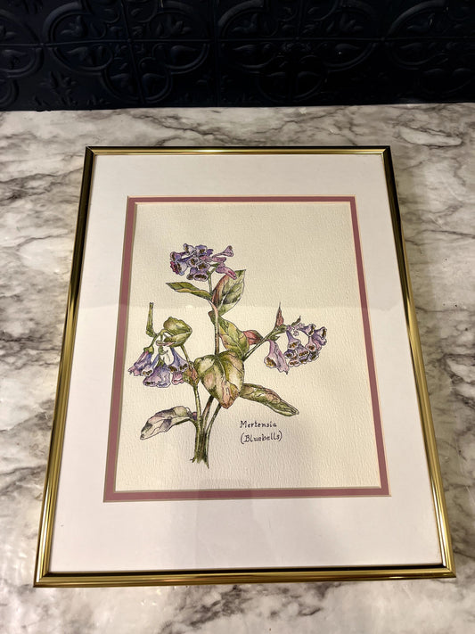 Mertensia Drawing In Gold Frame