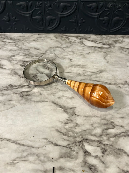 Magnifying glass with shell handle