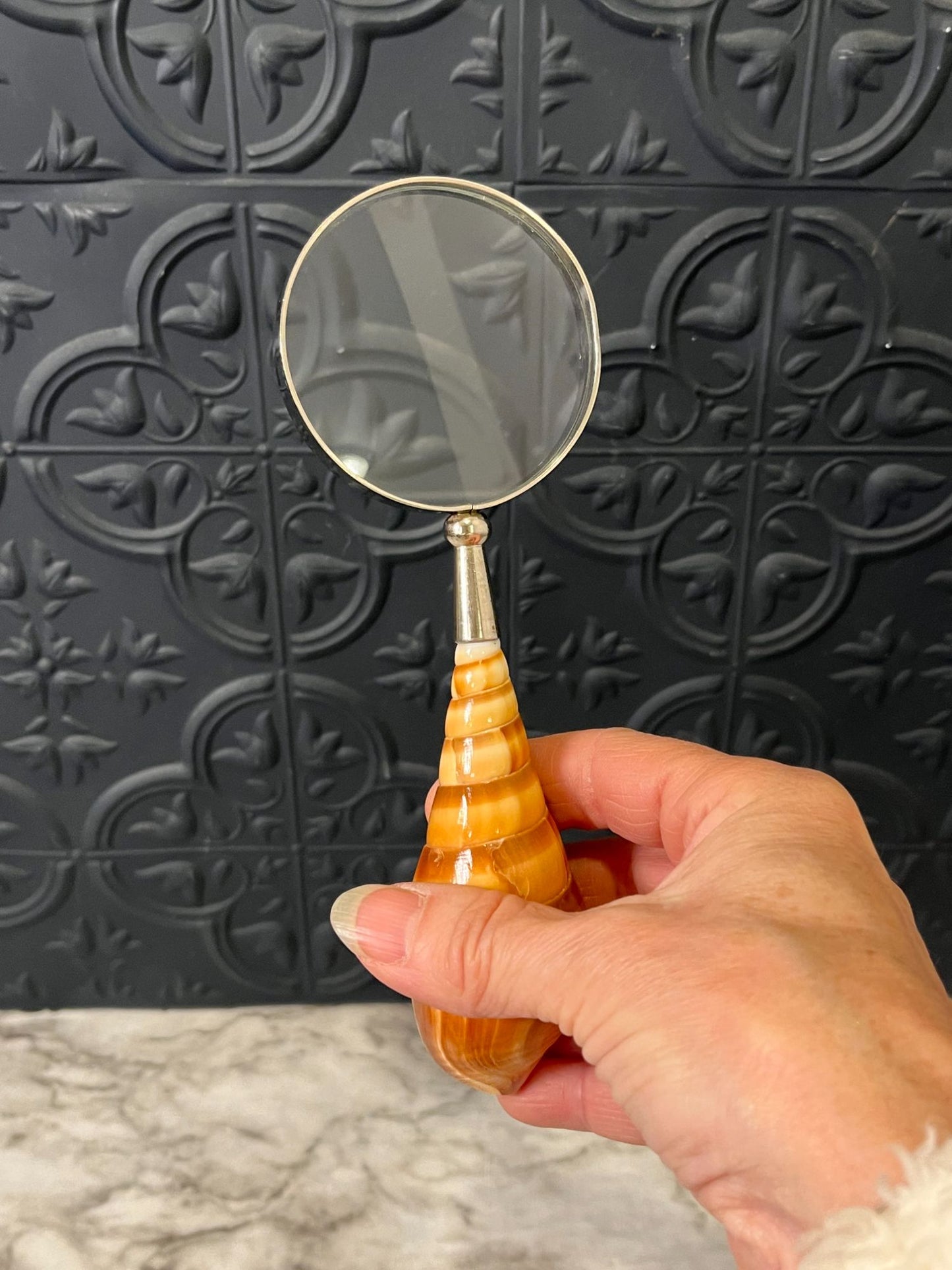 Magnifying glass with shell handle