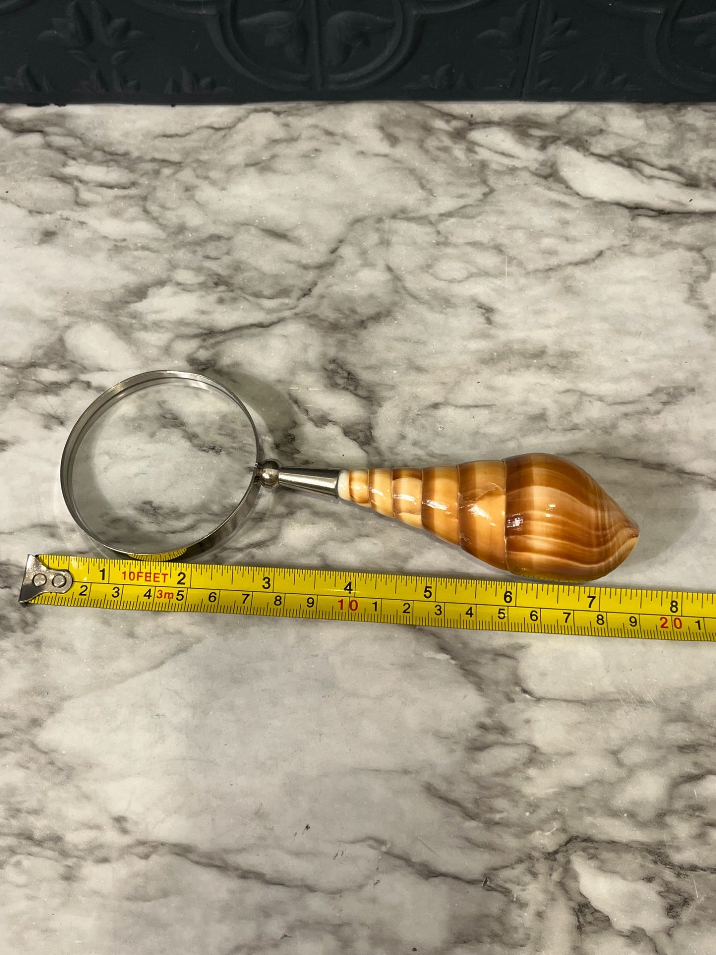 Magnifying glass with shell handle