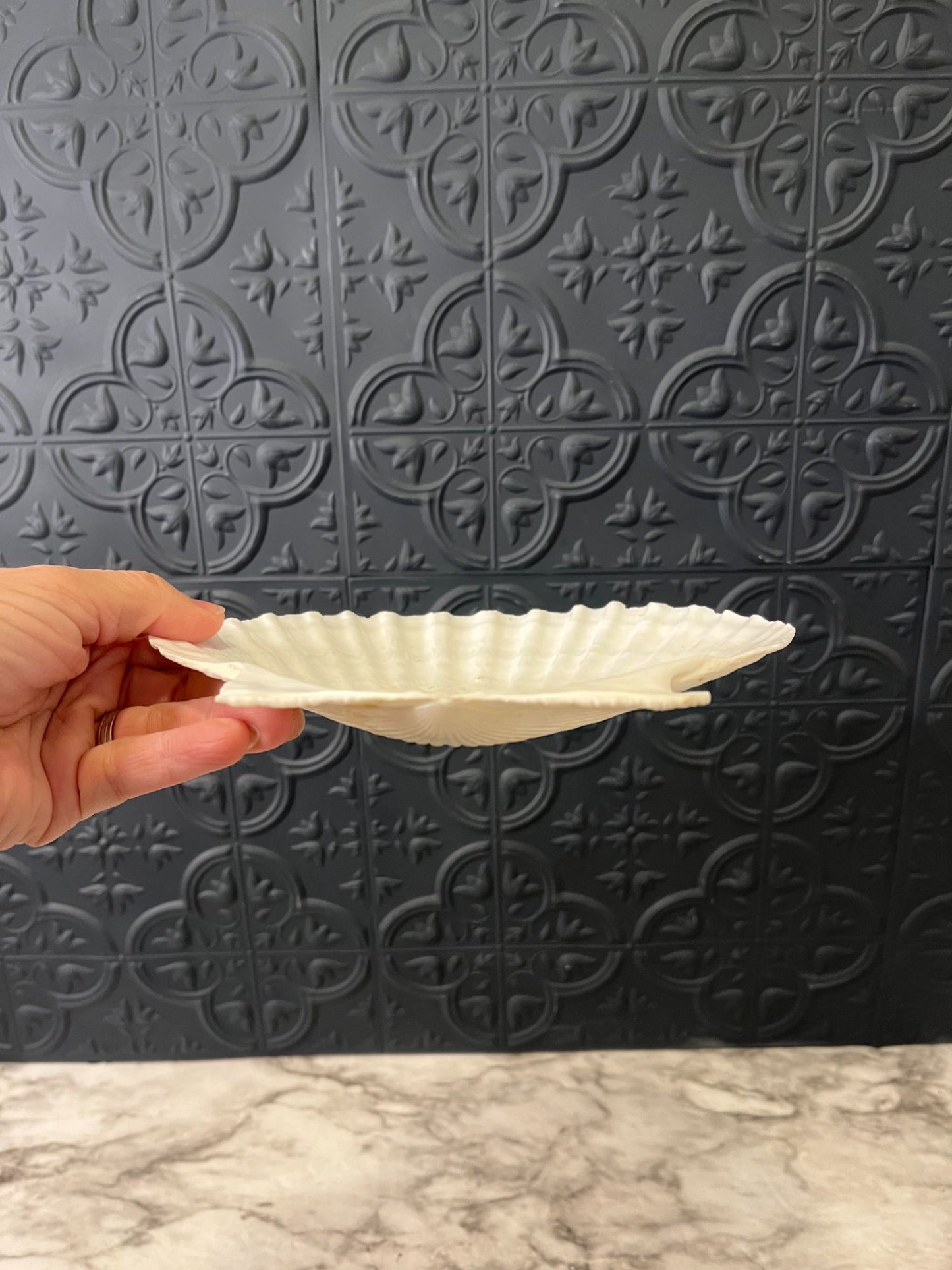 Clam Shell Dish