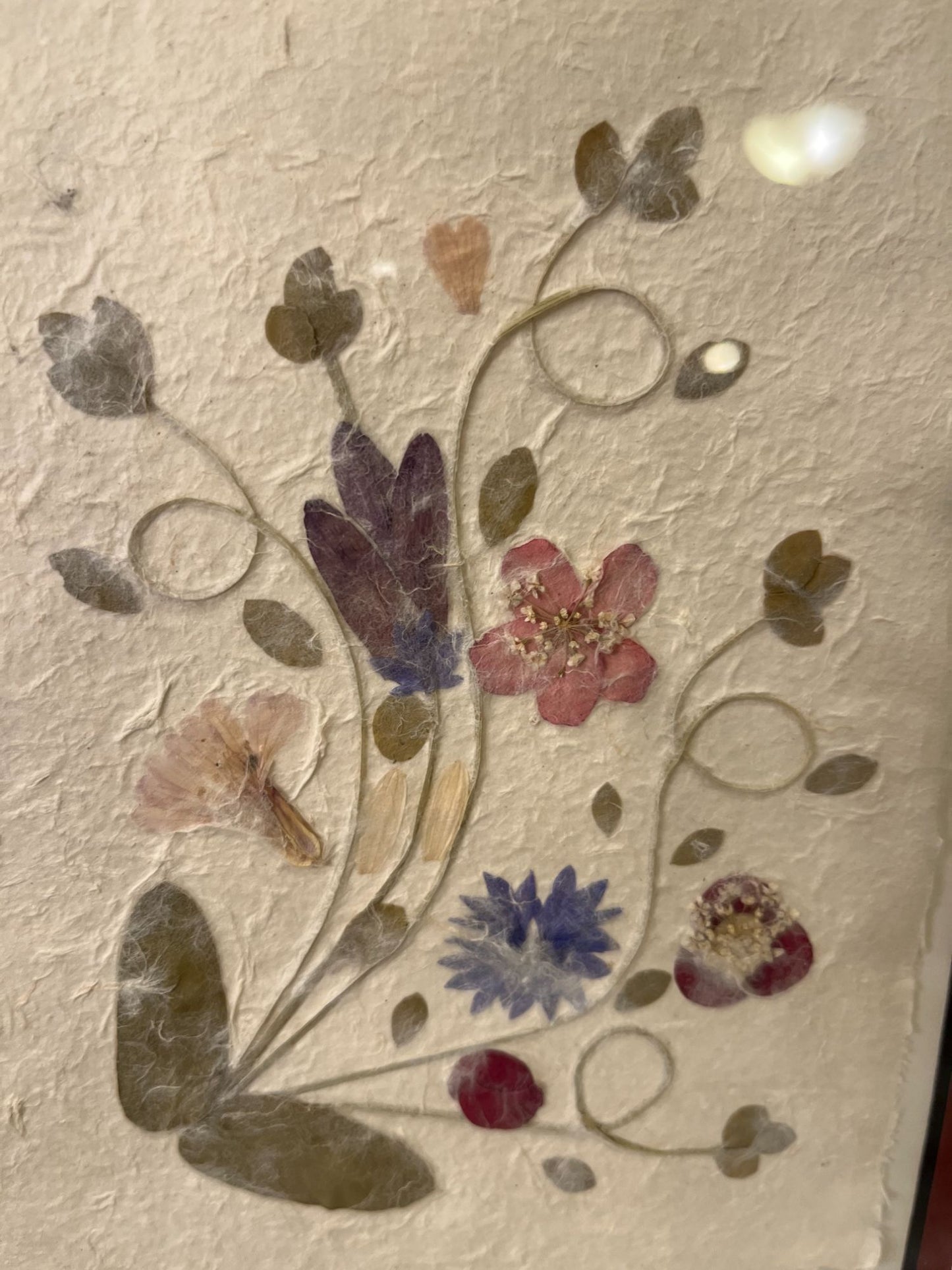 Silver Framed Pressed Flowers