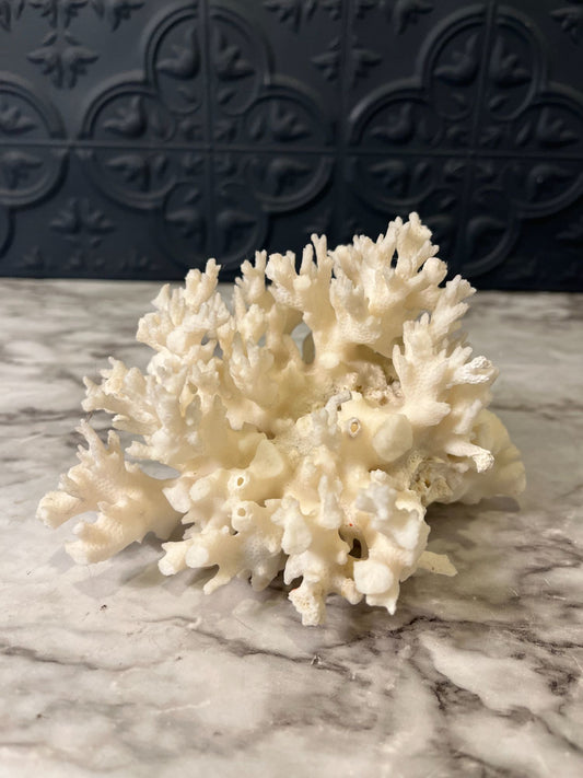Coral
